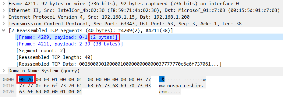 dns-query-tcp